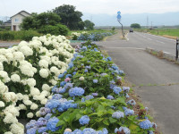 DSCN9065