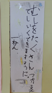 DSCN9316