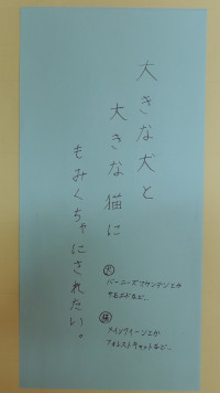 DSCN9322