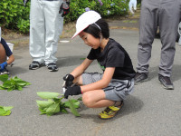 DSCN9397