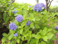 DSCN9400