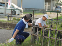 DSCN9708